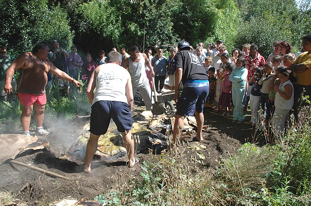 ahimaa_280805_050.jpg