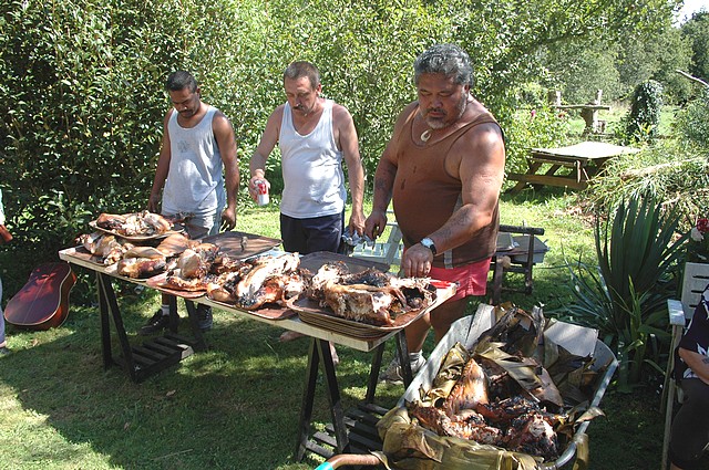 ahimaa_280805_074.jpg