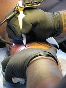 sandra_019