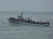 1-134