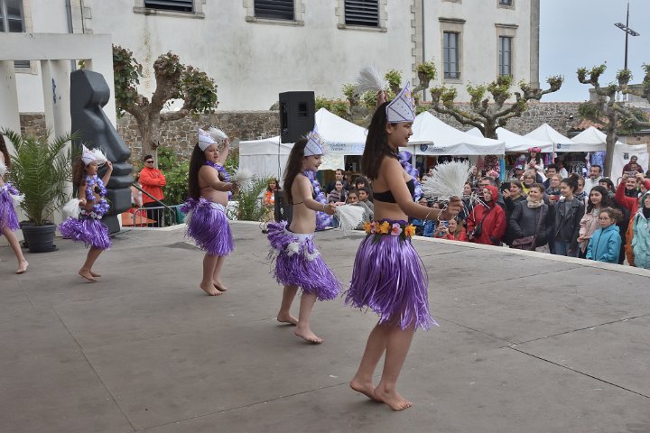 dsc_0973.jpg