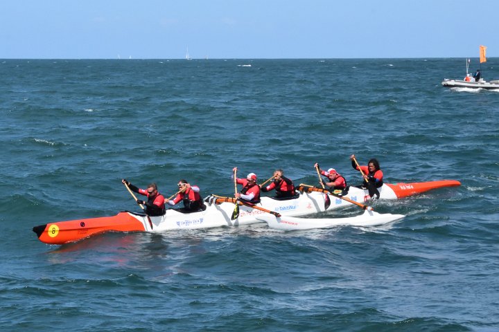 dsc_0710.jpg