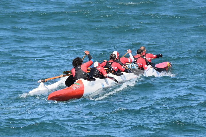dsc_0725.jpg