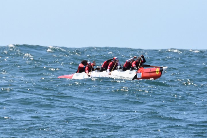 dsc_0729.jpg