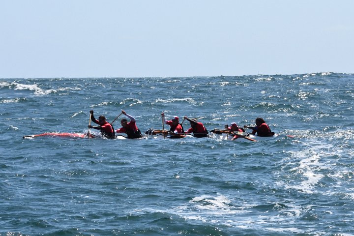 dsc_0740.jpg