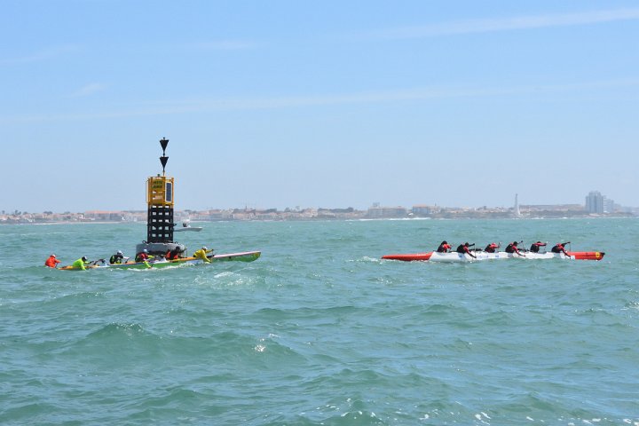 dsc_0865.jpg