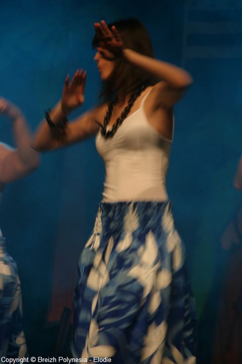 285.jpg