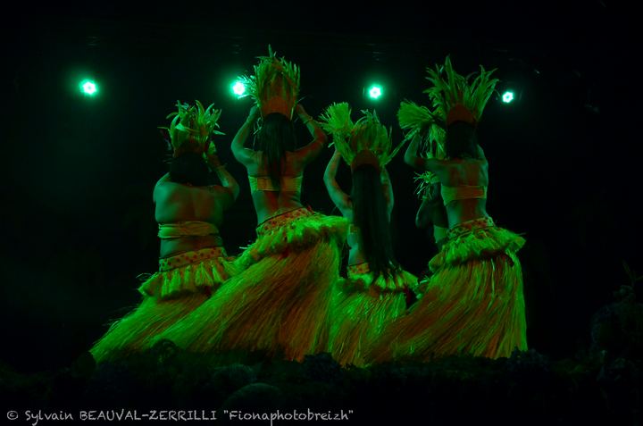 dsc_2770.jpg