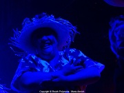dsc07341