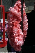 img_0441