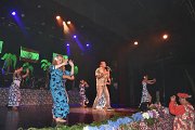 vva_0661