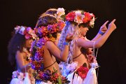 vva_0566