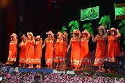 vva_0610