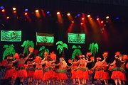 vva_0625