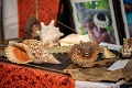 04072021-dsc_9834