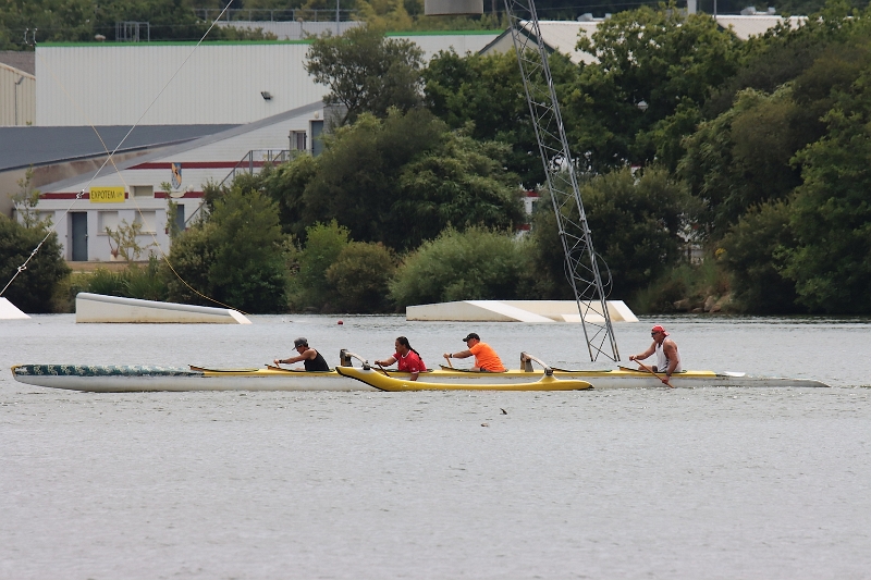 img_8954.jpg